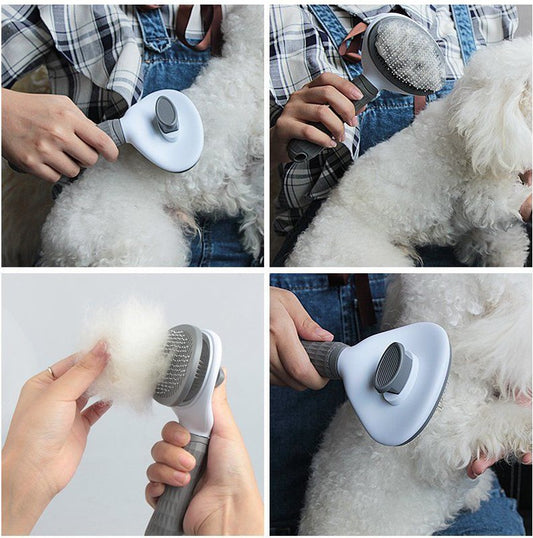 Self-Cleaning Brush