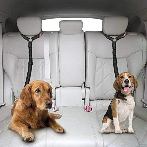 Car Safety Leash